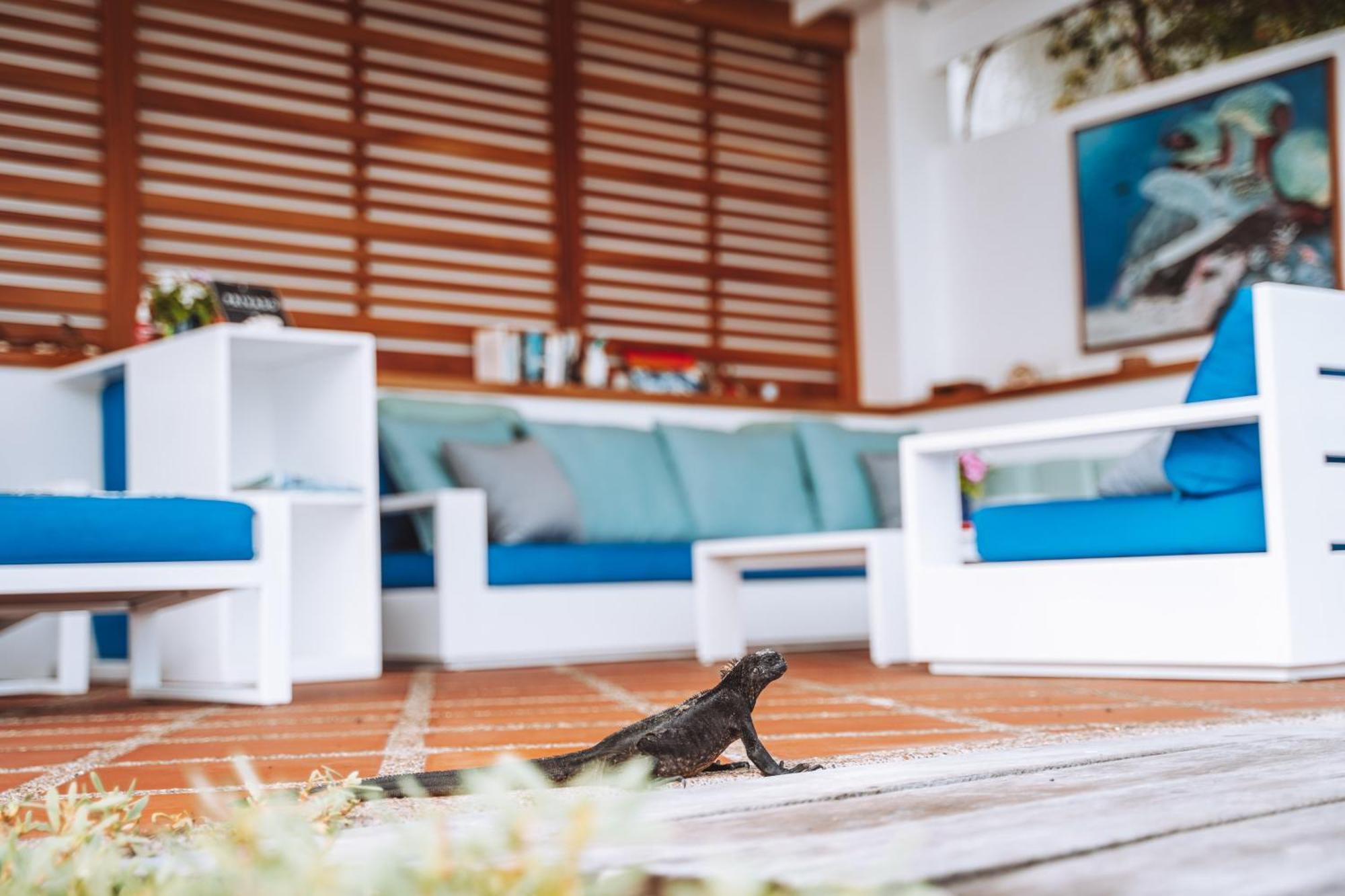 Hotel Cucuve Puerto Ayora  Ngoại thất bức ảnh